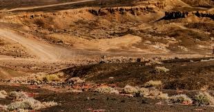 隐蔽骗术：揭秘“对冲下注陷阱”的结构设计。（解构隐蔽骗术：对冲下注陷阱的设计内幕）