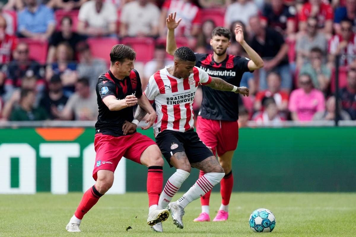 也验证了自 也验证了自