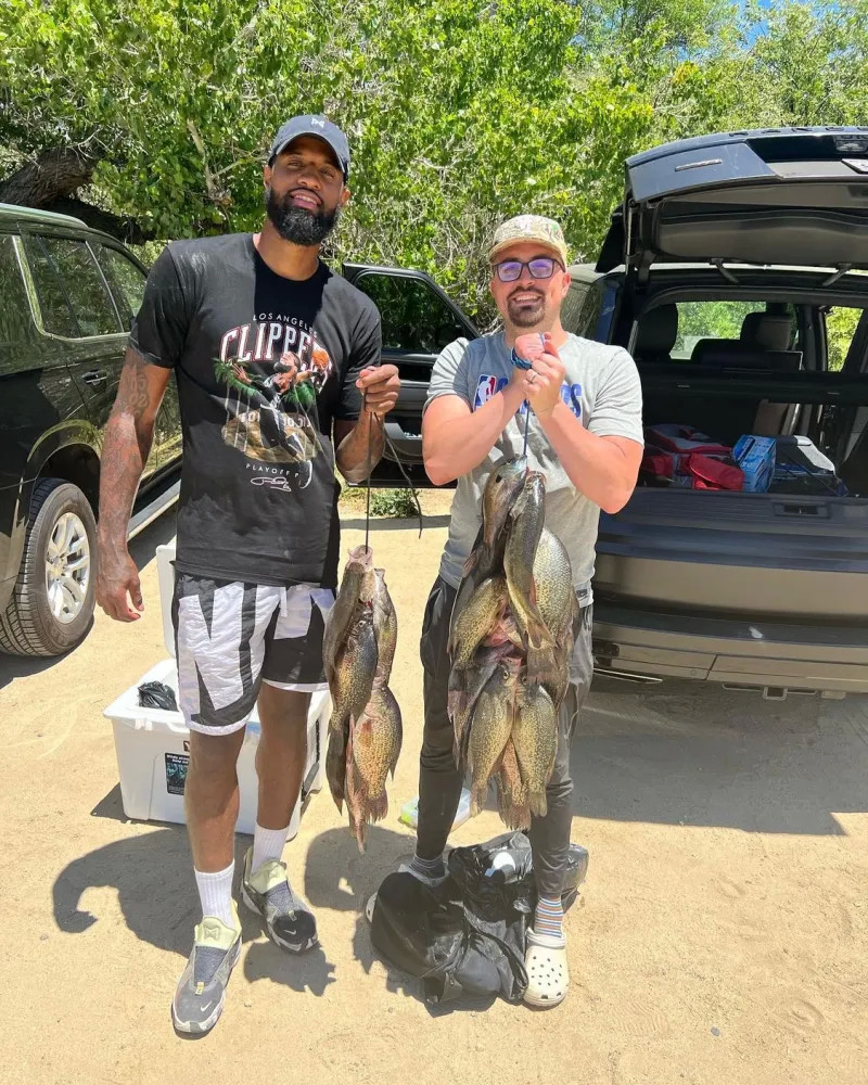 极的影响 极的影响